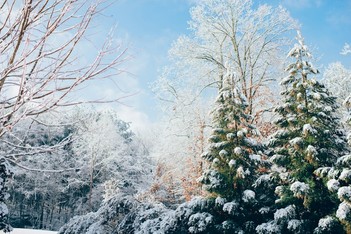 Image of the retrospective template L'hiver qui s'accroche on the Neatroverse community