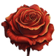 Image de la colonne Rose du modèle de rétrospective Rose, Épine, Bourgeon sur la communauté Neatroverse